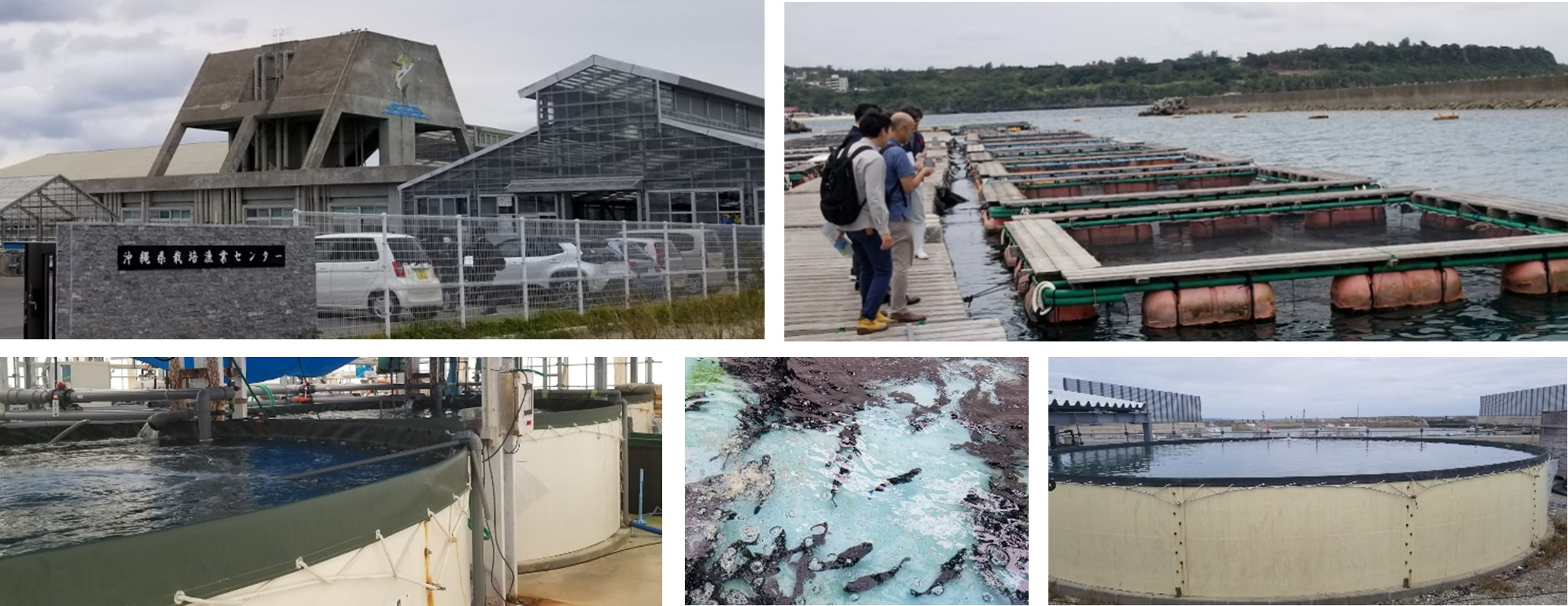 Field visit to Sustainable Land-based Aquaculture